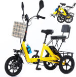 HpLNDas Folding Electric Adult Tricycle, 14-inch Wheels, Passenger Seat & Basket, 48V