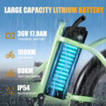 TWOFISH Folding Electric Bike: Adults, 36V Battery, 20-inch Fat Tires, Dual Seat - Image 3