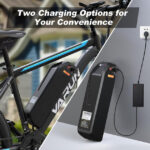 VARUN 26-inch Electric Mountain Bike: 250W Motor, 21-Speed, Removable Battery - Image 4